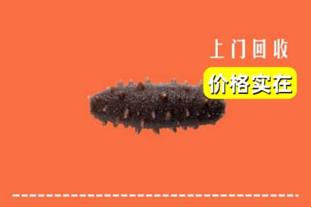 广安市前锋回收海参