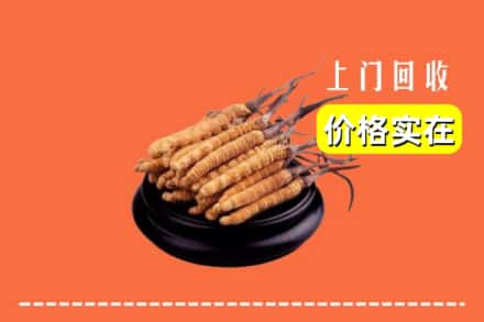 广安市前锋回收冬虫夏草